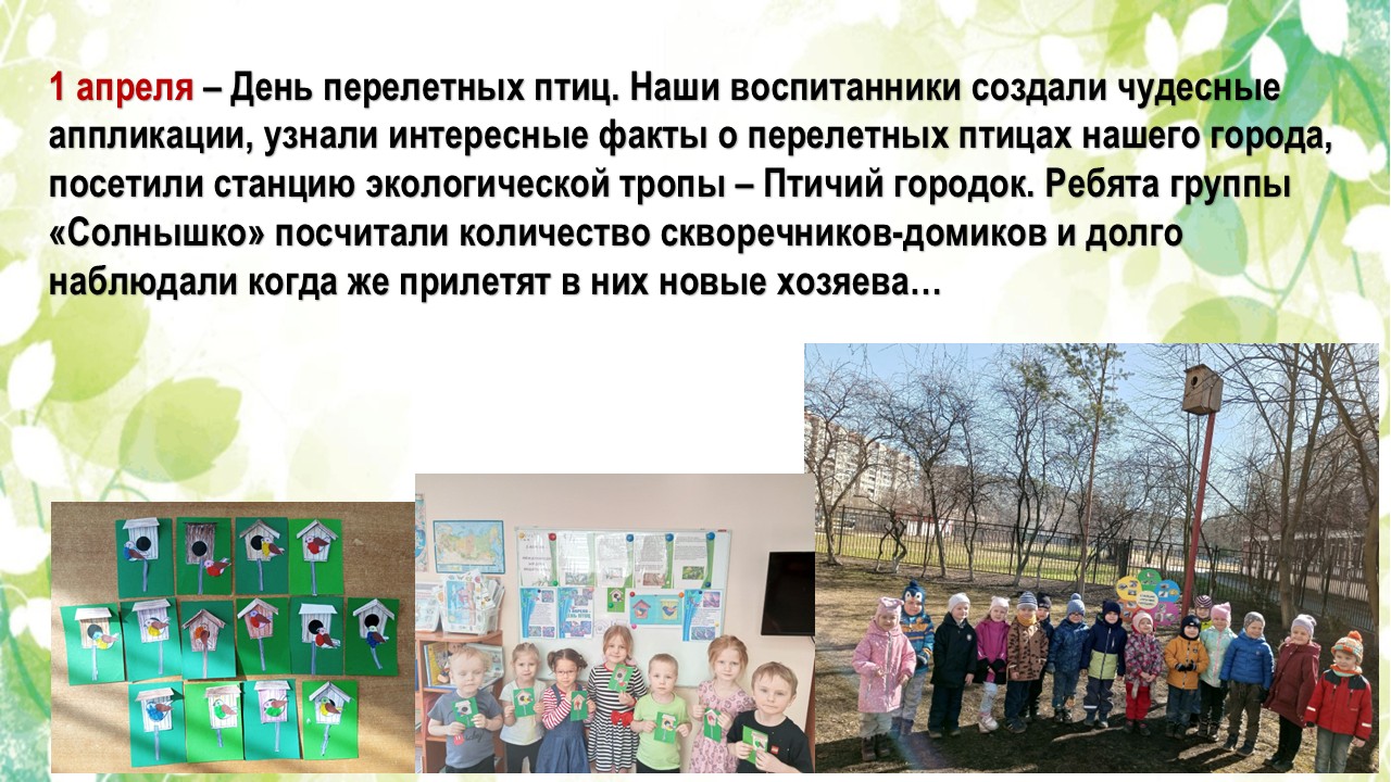 птицы 25