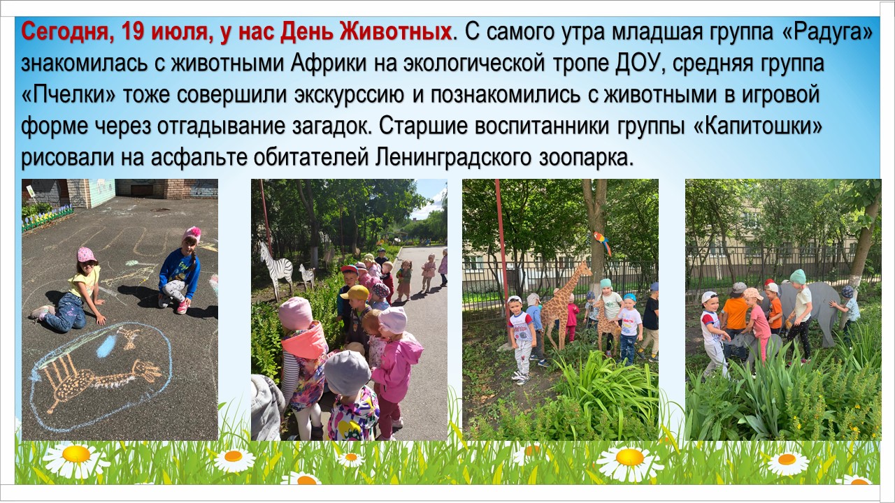 День животных