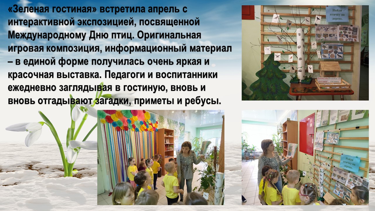 День птиц