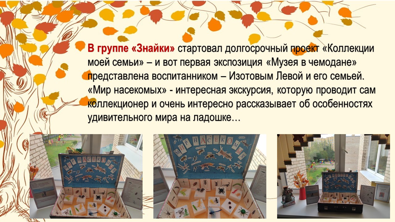 коллекция мир насекомых
