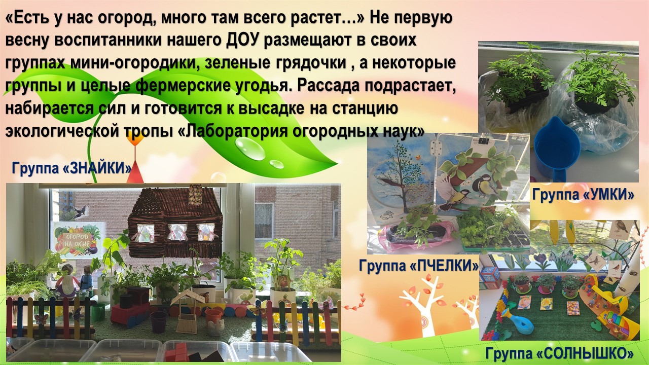 огородики