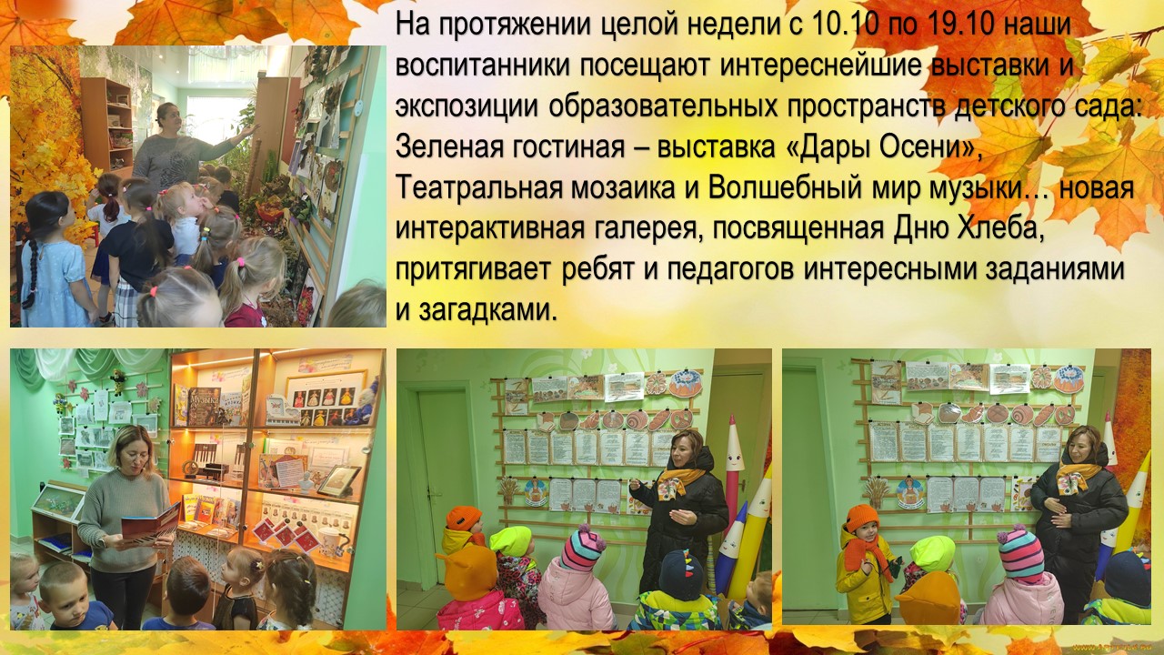 пространства доу