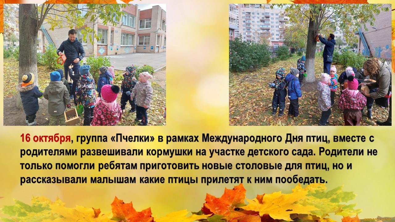 птицы 23