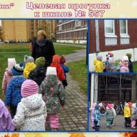 Новая папка231