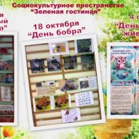 Новая папка29