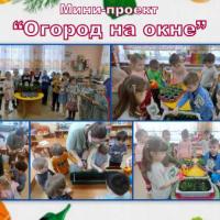 Новая папка44