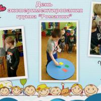 Ромашки
