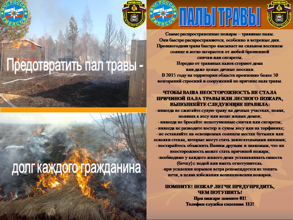 пал 1