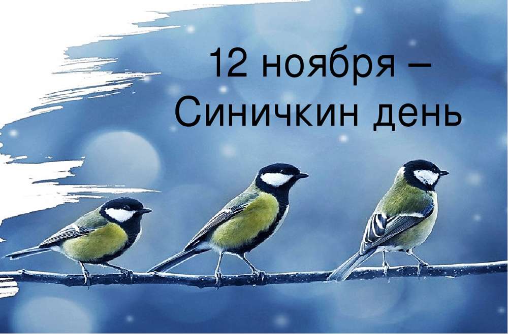 синичкин